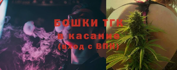 гидра Осинники