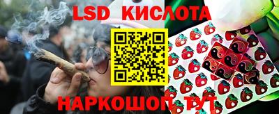 прущие крисы Беслан