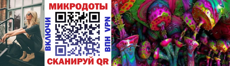 Галлюциногенные грибы мухоморы где найти наркотики Гурьевск