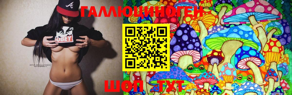 Галлюциногенные грибы Magic Shrooms Гурьевск