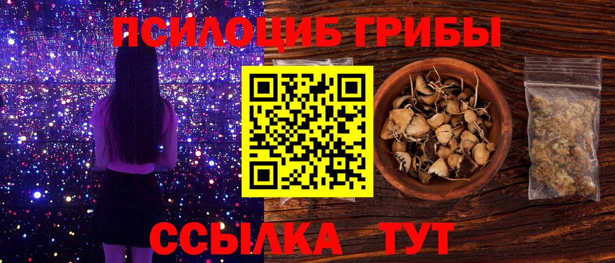 закладка  Галлюциногенные грибы Psilocybe  Гурьевск  Псилоцибиновые грибы ЛСД 